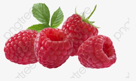 Red Berries Strawberries - Red Berries Png, Transparent Png, Free Download
