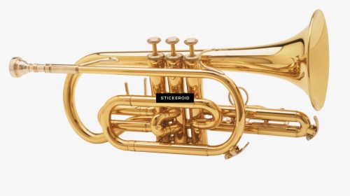 Transparent Trumpet Clipart Free - Trumpet Transparent Background, HD Png Download, Free Download
