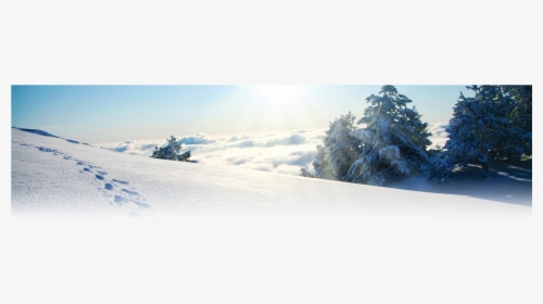 Transparent Winter Landscape Png - 눈 위 의 발자국, Png Download, Free Download