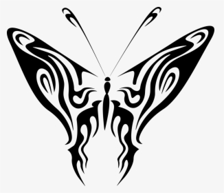 Blue Butterfly, HD Png Download, Free Download