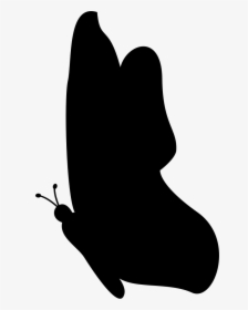 Black Butterfly Silhouette Png, Transparent Png, Free Download