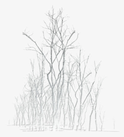 #ftestickers #winter #landscape #trees #luminous #white - Birch, HD Png Download, Free Download