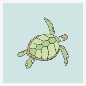 Green Sea Turtle, HD Png Download, Free Download