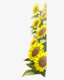 Background Frame Sunflower Border, HD Png Download, Free Download