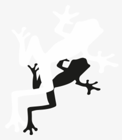 Outline Tree Frog Clipart, HD Png Download, Free Download