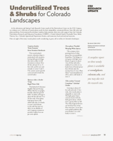 Page Turn Png, Transparent Png, Free Download