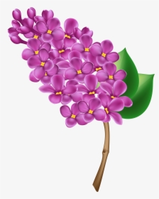 Lilac Transparent Png Clip Art Image - Lilac Clipart Png, Png Download, Free Download