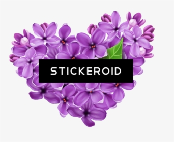 Purple Vector Flower Png , Png Download, Transparent Png, Free Download
