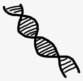 Black And White Dna Transparent, HD Png Download, Free Download