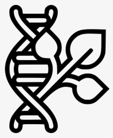 Plant Dna Gmo - Chromosome Black And White, HD Png Download, Free Download