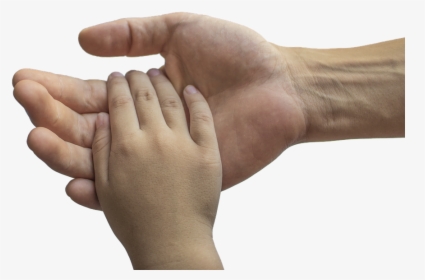 Hands Adult And Child Family Love Child Adult - Child Hands, HD Png Download, Free Download