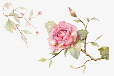 Edits Flowers Rose Vine Nature Art Stickers - Flower Png For Edits, Transparent Png, Free Download