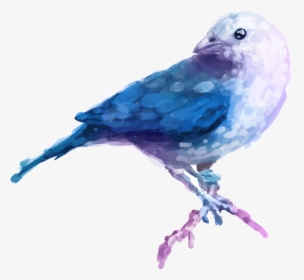 Transparent Watercolor Bird Png - Bird Beautiful Watercolor Paintings, Png Download, Free Download