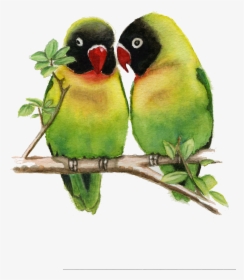 Download Exotic Birds Paintings Hd Png Download Kindpng