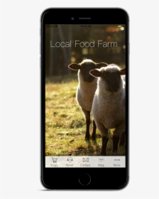 Template 2 - Sheep, HD Png Download, Free Download