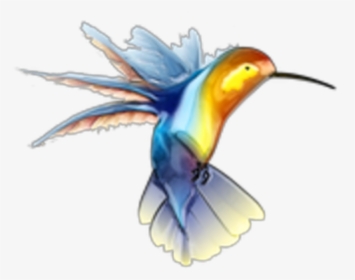 Ftestickers Bird Hummingbird Watercolor - Hummingbird Tattoo, HD Png Download, Free Download