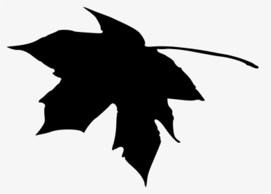 Silhouette Leaves Png Transparent Clipart , Png Download - Transparent Maple Leaf Silhouette, Png Download, Free Download