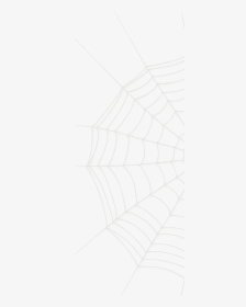 Spider Web Large - Spider Net, HD Png Download, Free Download