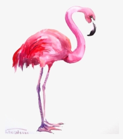 Water Color Flamingo Png, Transparent Png, Free Download