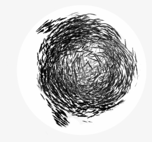 Herring - Sketch, HD Png Download, Free Download