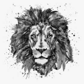 Good Black And White Lion Head Shower Curtain For Salemarian - Lions Face Black And White, HD Png Download, Free Download