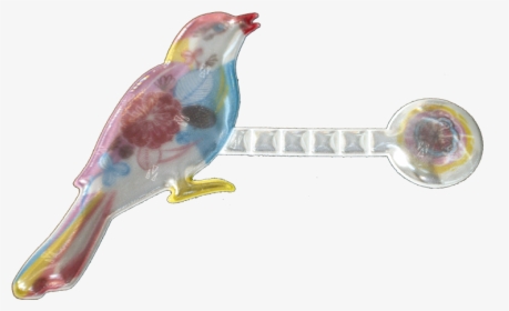Transparent Watercolor Bird Png - Perching Bird, Png Download, Free Download