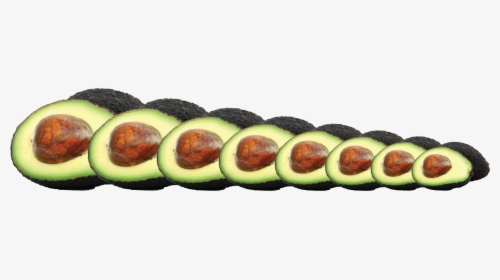 Avocados Png, Transparent Png, Free Download