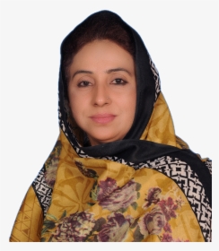 Shamim Ara Panhwar Member Pppp Hd Picture - Girl, HD Png Download, Free Download