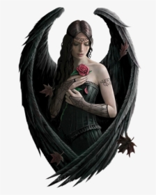 Transparent Alas Negras Png - Anne Stokes Angel Rose, Png Download, Free Download