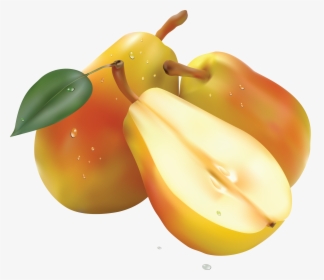 Pear Png Image - Pear Png, Transparent Png, Free Download