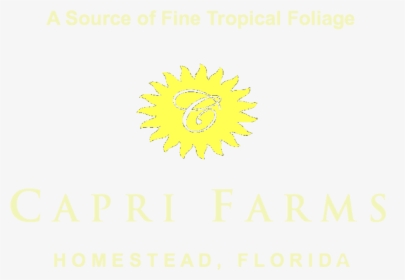Cropped Final Yellow Sun Header For Website Fotoflexer - Corazon Salvaje, HD Png Download, Free Download