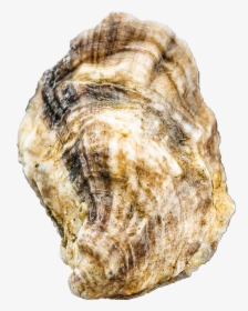 Ledge Png, Transparent Png, Free Download