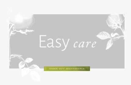 Care - Butterfly, HD Png Download, Free Download