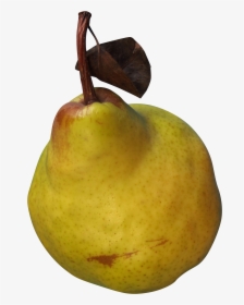 Asian Pear, HD Png Download, Free Download