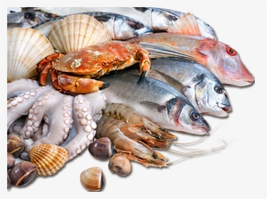 Sea Food In Pakistan , Png Download - Mumbai Bhaucha Dhakka Fish Market, Transparent Png, Free Download
