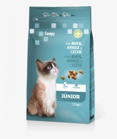 Kitten, HD Png Download, Free Download