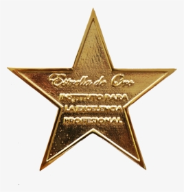 Estrella De Oro Excelencia Profesional Air Drone View - Robert E Lee High School Logo, HD Png Download, Free Download