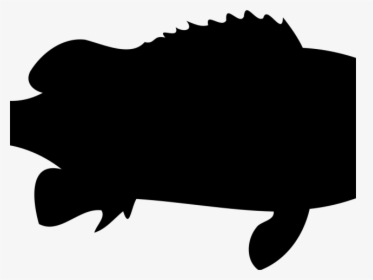 Trout Clipart Shadow, HD Png Download, Free Download