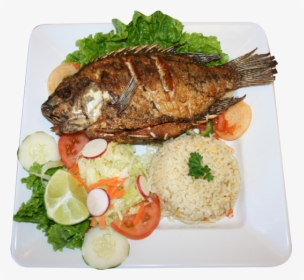 Mojarra Frita - Tilápia Frito Png, Transparent Png - kindpng