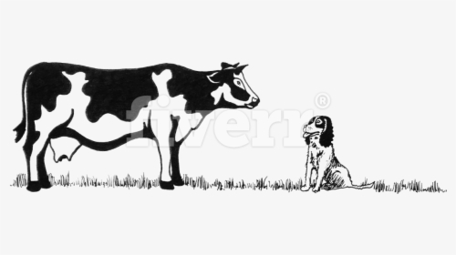 Dairy Cow , Png Download, Transparent Png, Free Download
