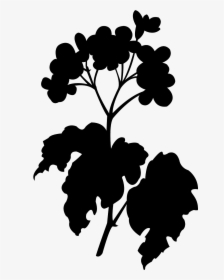 Begonia Silhouette, HD Png Download, Free Download