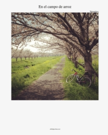 Trail, HD Png Download, Free Download