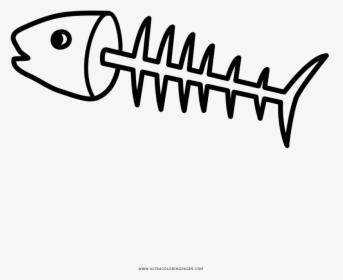 Fishbones Coloring Page - Fish Bone Drawing, HD Png Download, Free Download