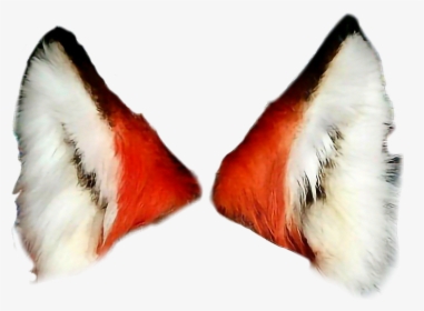 #freetoedit #fox #foxears - Fox Ears Transparent Background, HD Png Download, Free Download