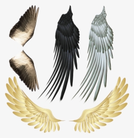 Transparent Devil Wings Png - Angel Wings Halo Gold, Png Download, Free Download