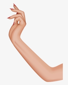 Female Hand Png Clip - Female Hand Png, Transparent Png, Free Download