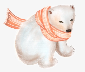 Cute Polar Bear Cartoon Transparent - Polar Bear, HD Png Download, Free Download