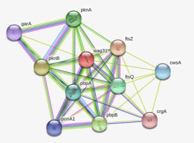 Wag31 Protein, HD Png Download, Free Download