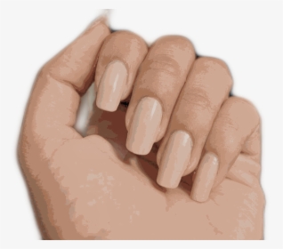 #hand #arm #fist #love #hold #aesthetic #grab #nails - Aesthetic Nail Polish Png, Transparent Png, Free Download