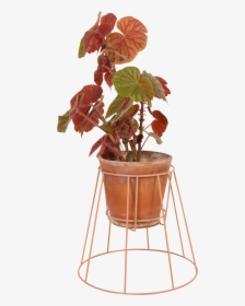 Flowerpot, HD Png Download, Free Download